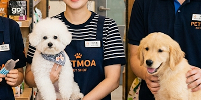 스텝소개