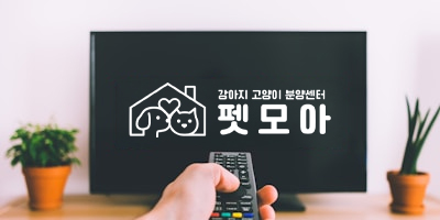 펫모아TV